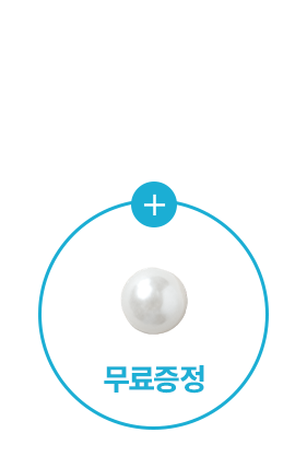 [무료증정] 진주