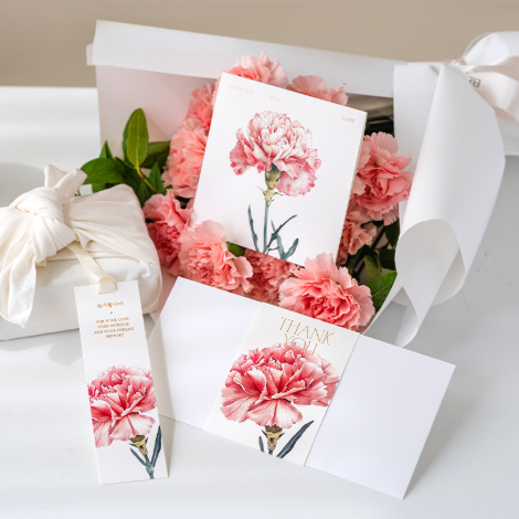 소프트 그라데이션 핑크 세트