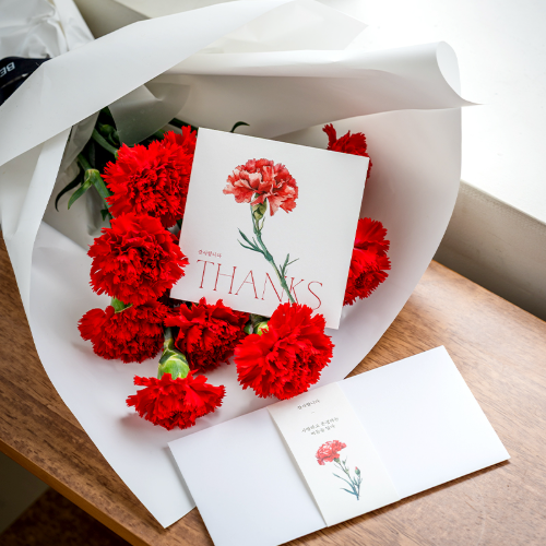 카네이션 메시지 이미지