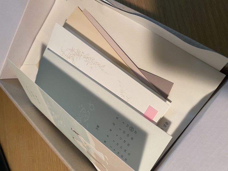 임시 이미지