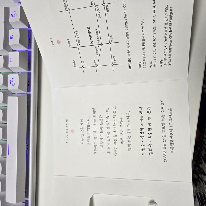 임시 이미지